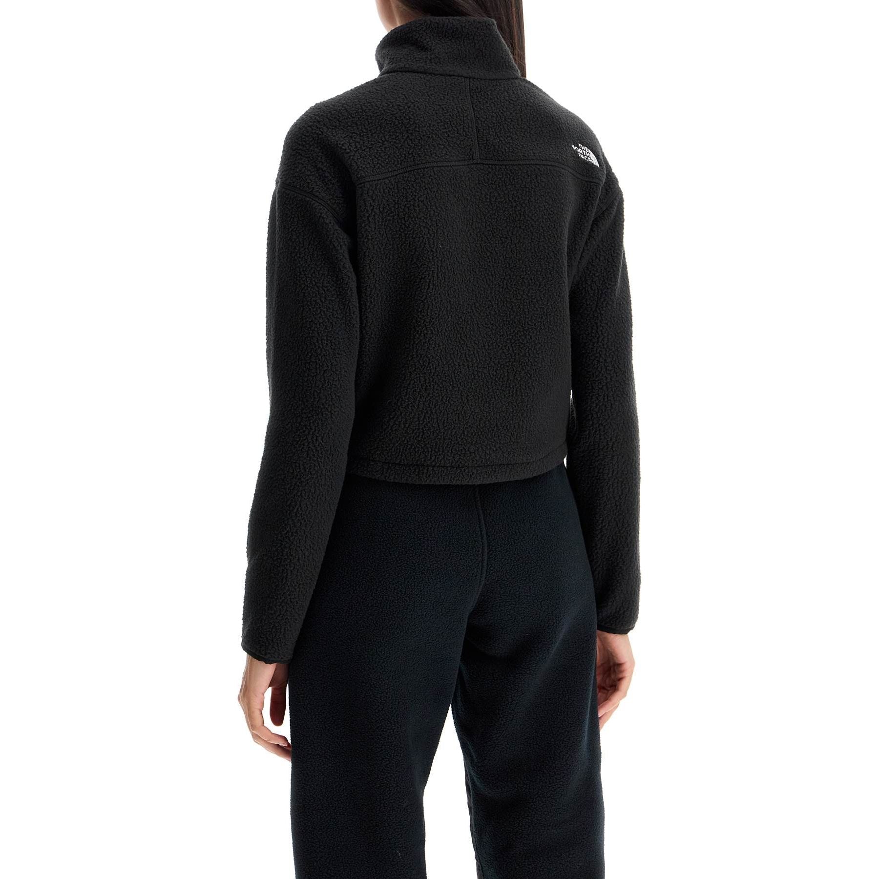 Sherpa Fleece Cropped Sweatshirt In