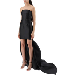 Neva Strapless Tube Dress