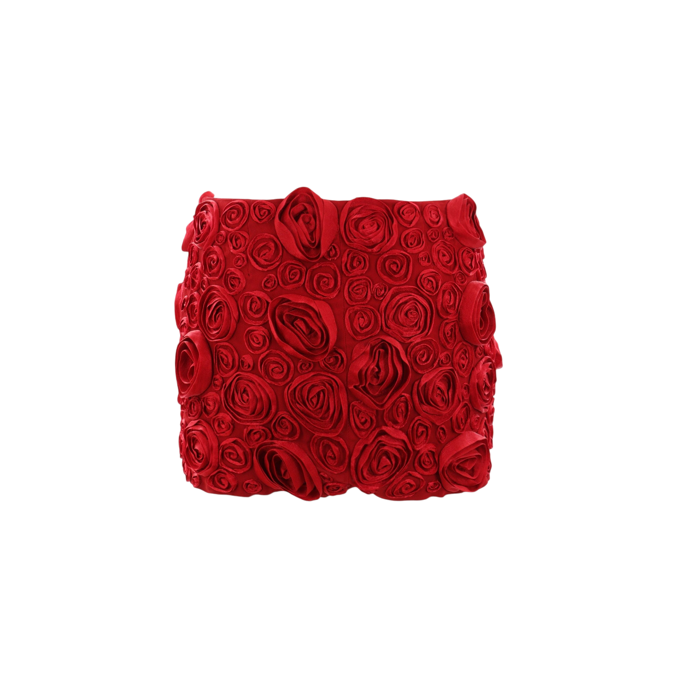 Rose Embroidered Crepe Miniskirt-BLUMARINE-JOHN JULIA