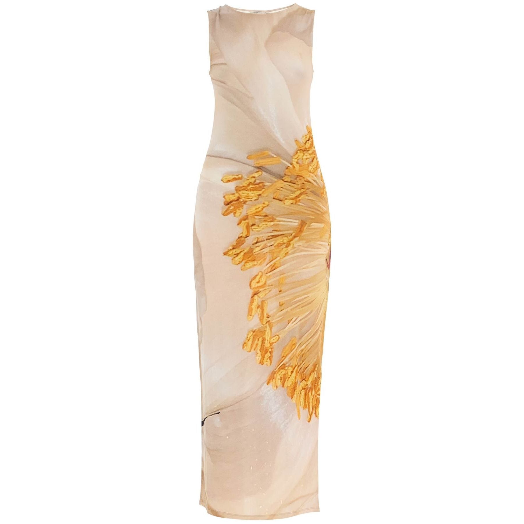 Fortunata Floral Print Semisheer Sleeveless Dress