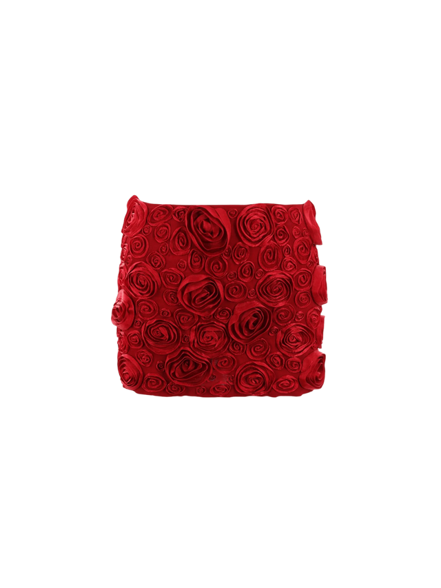 Rose Embroidered Crepe Miniskirt-BLUMARINE-JOHN JULIA