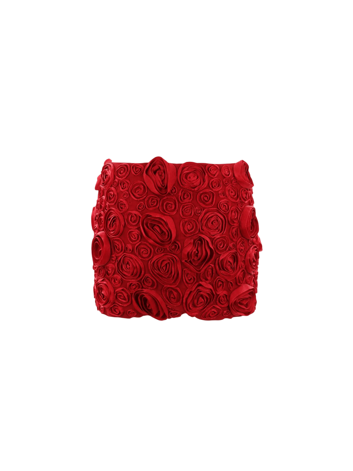 Rose Embroidered Crepe Miniskirt-BLUMARINE-JOHN JULIA