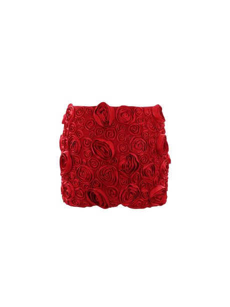 Rose Embroidered Crepe Miniskirt-BLUMARINE-JOHN JULIA