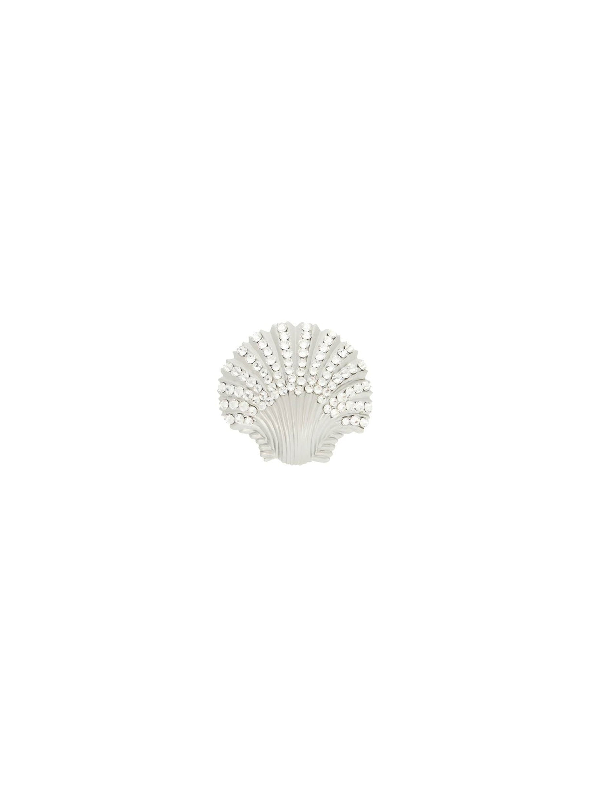 Single Seashell Earring With