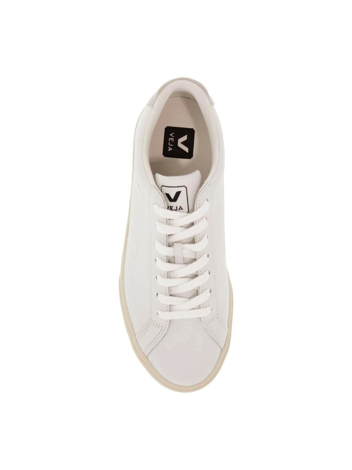 Esplar Leather Sneakers.