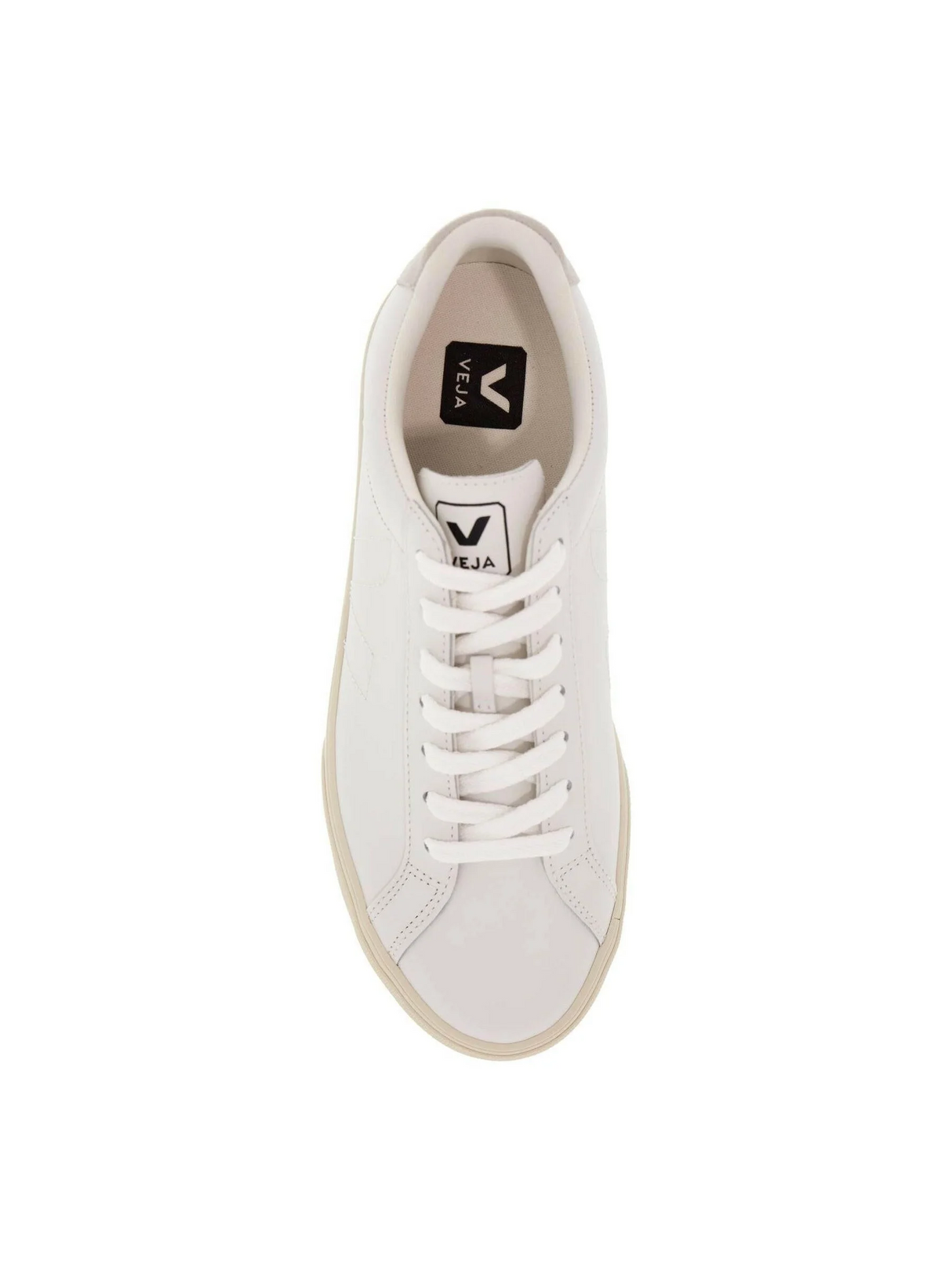 Esplar Leather Sneakers.