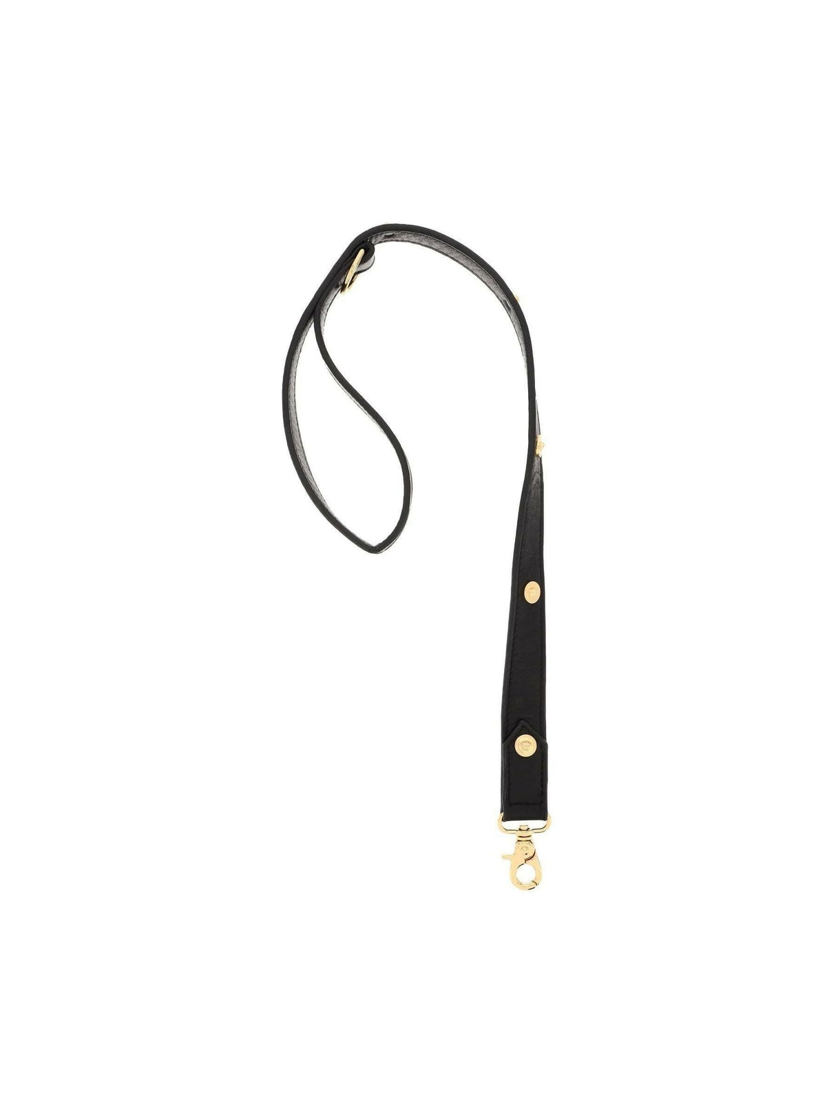 Leather Leash With Medusa Studs VERSACE JOHN JULIA.